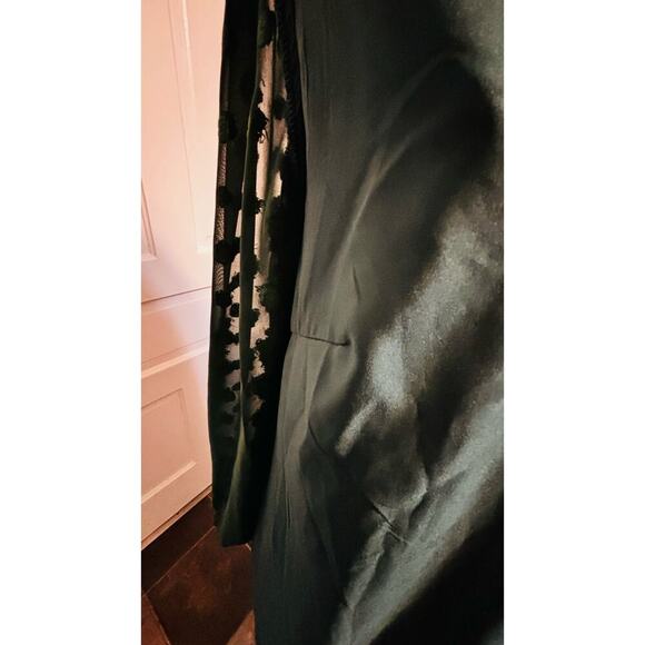 Kirundo NWT Womens Dress Size M Empire Waist 70s Retro Whimscagoth  Retro Sheer - Picture 13 of 15